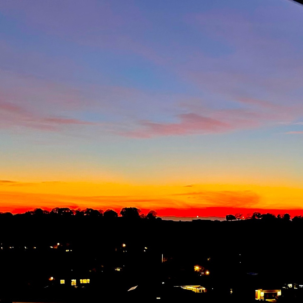 Meet your Posher, Scarlett